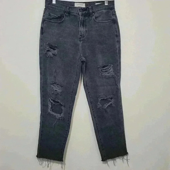 PacSun Denim - PACSUN Vintage Icon Mom Jean